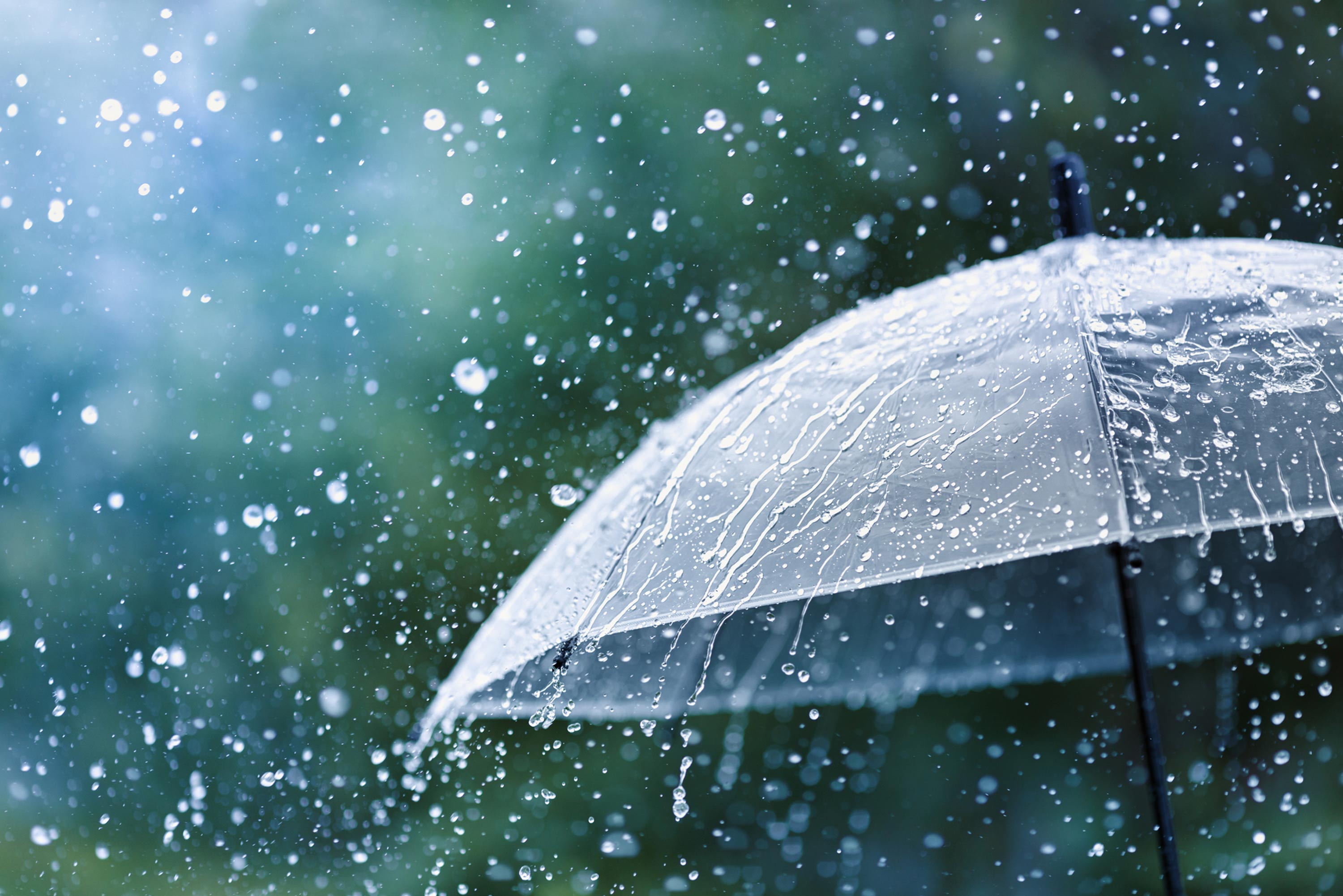 New York Umbrella Insurance Coverage